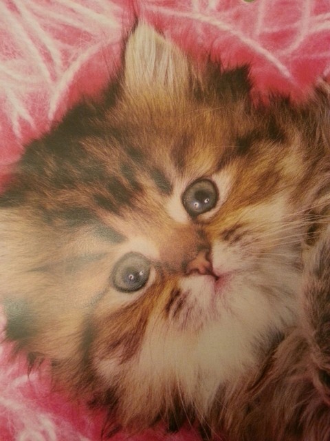 Look at me.