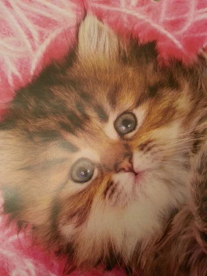 Look at me.