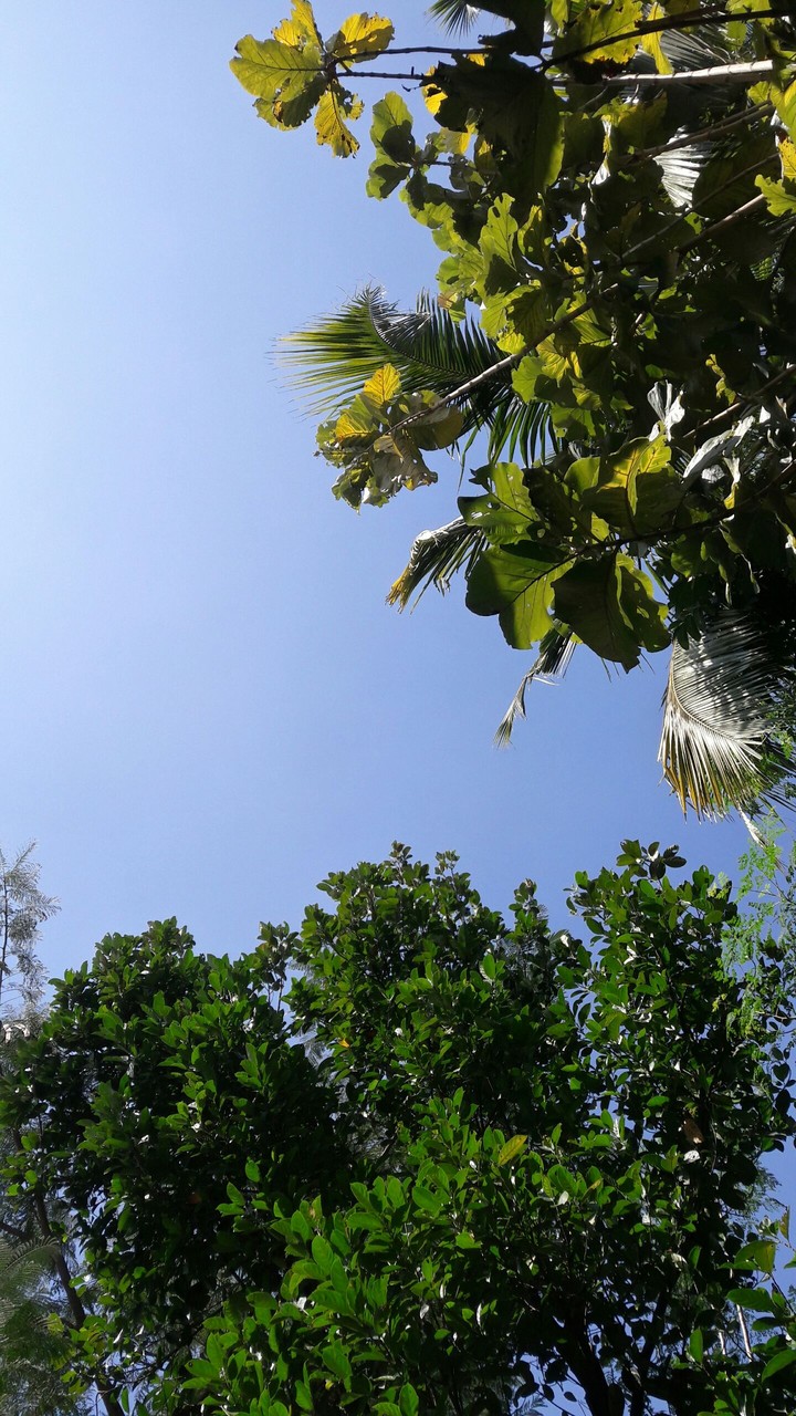 clear sky