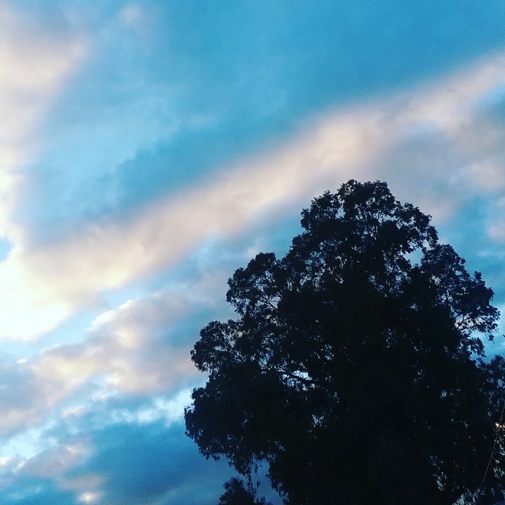 Candy blue sky