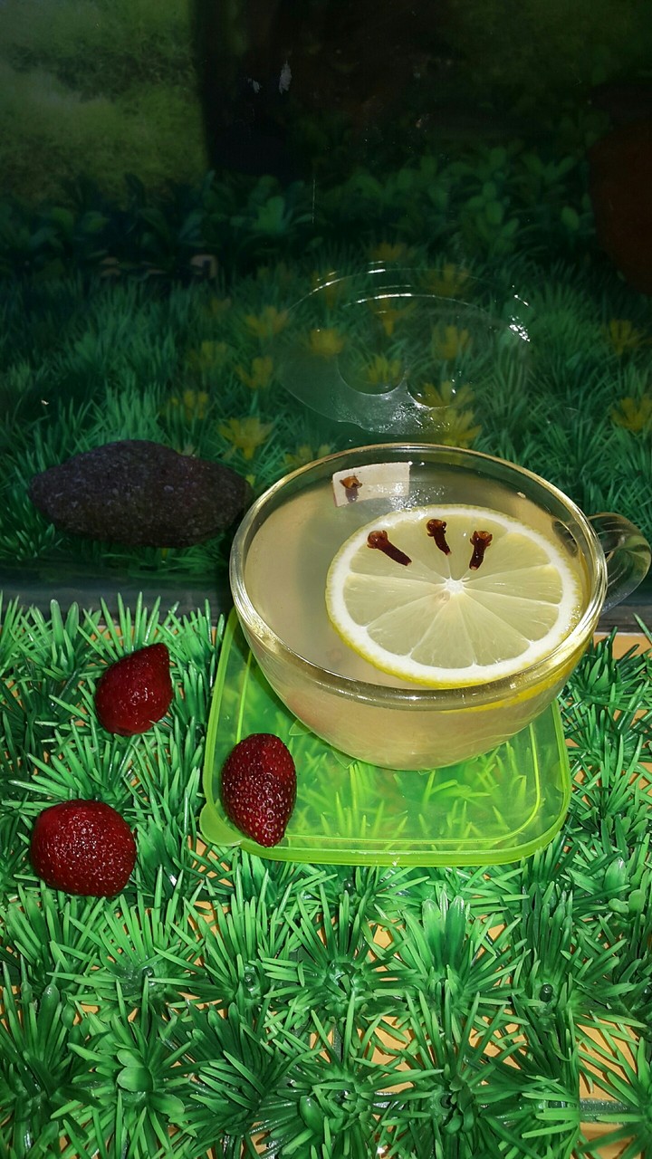 Fruit