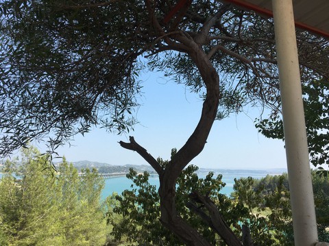 ταπετσαρίες trunk, branch