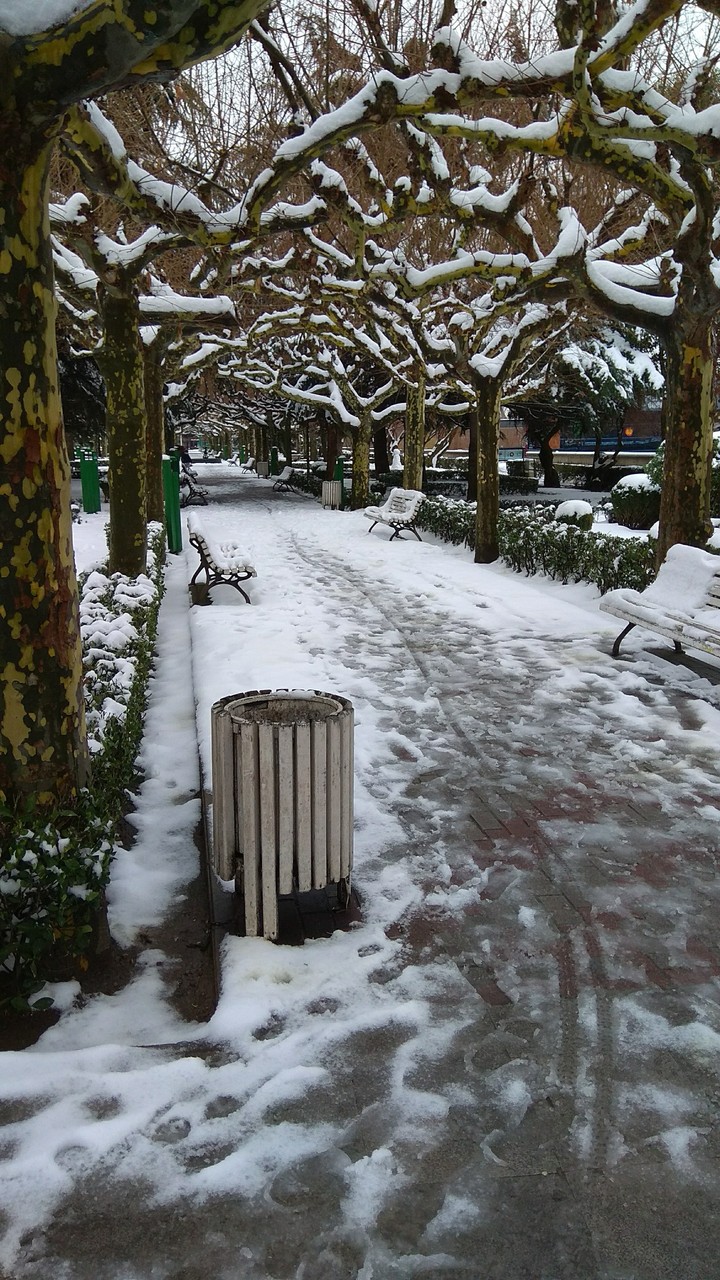 snow in leon