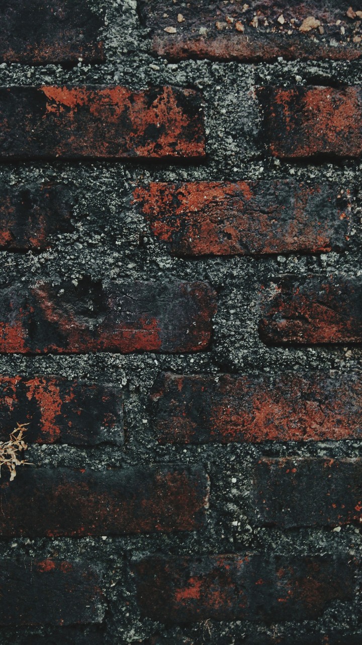 old building wall made of brick.