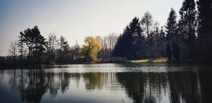 Water