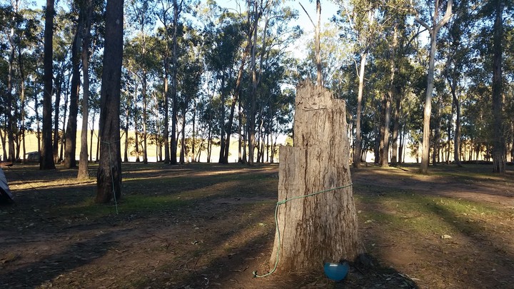 Stumped