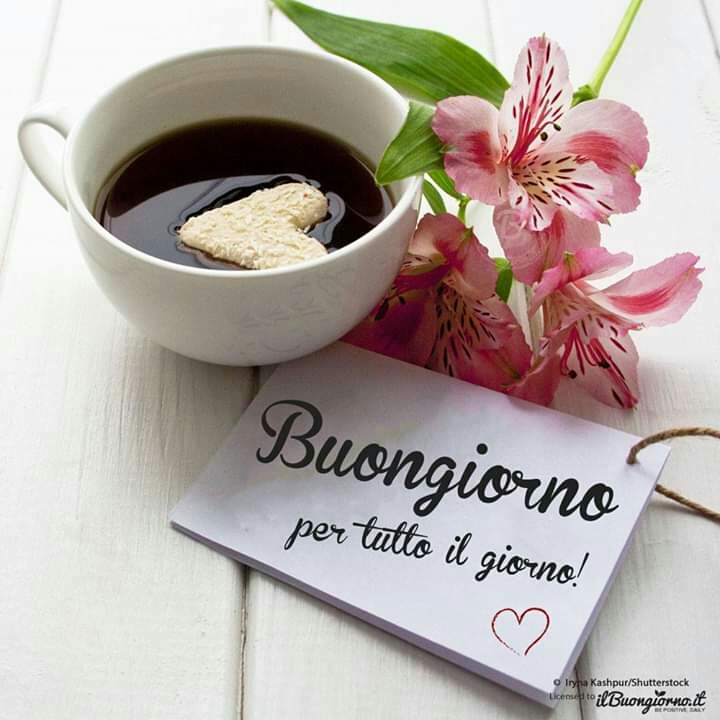 gm