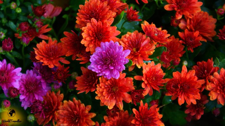 I tried to copy samsung's wallpapers