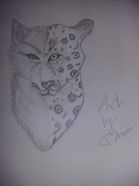 my pencil art