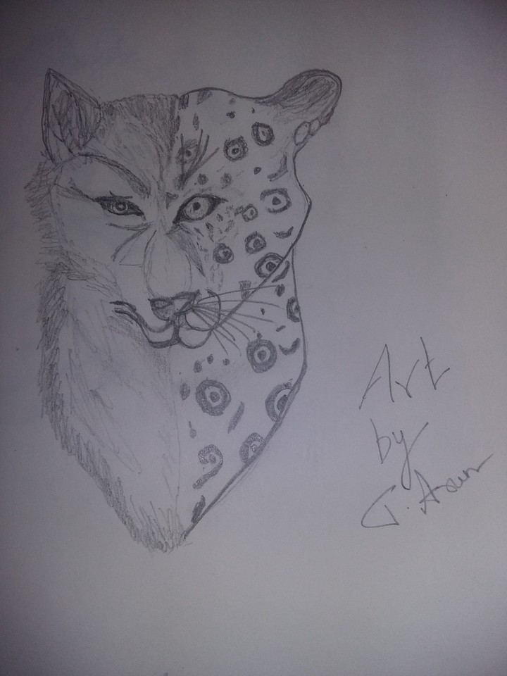 my pencil art
