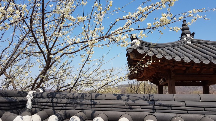고궁