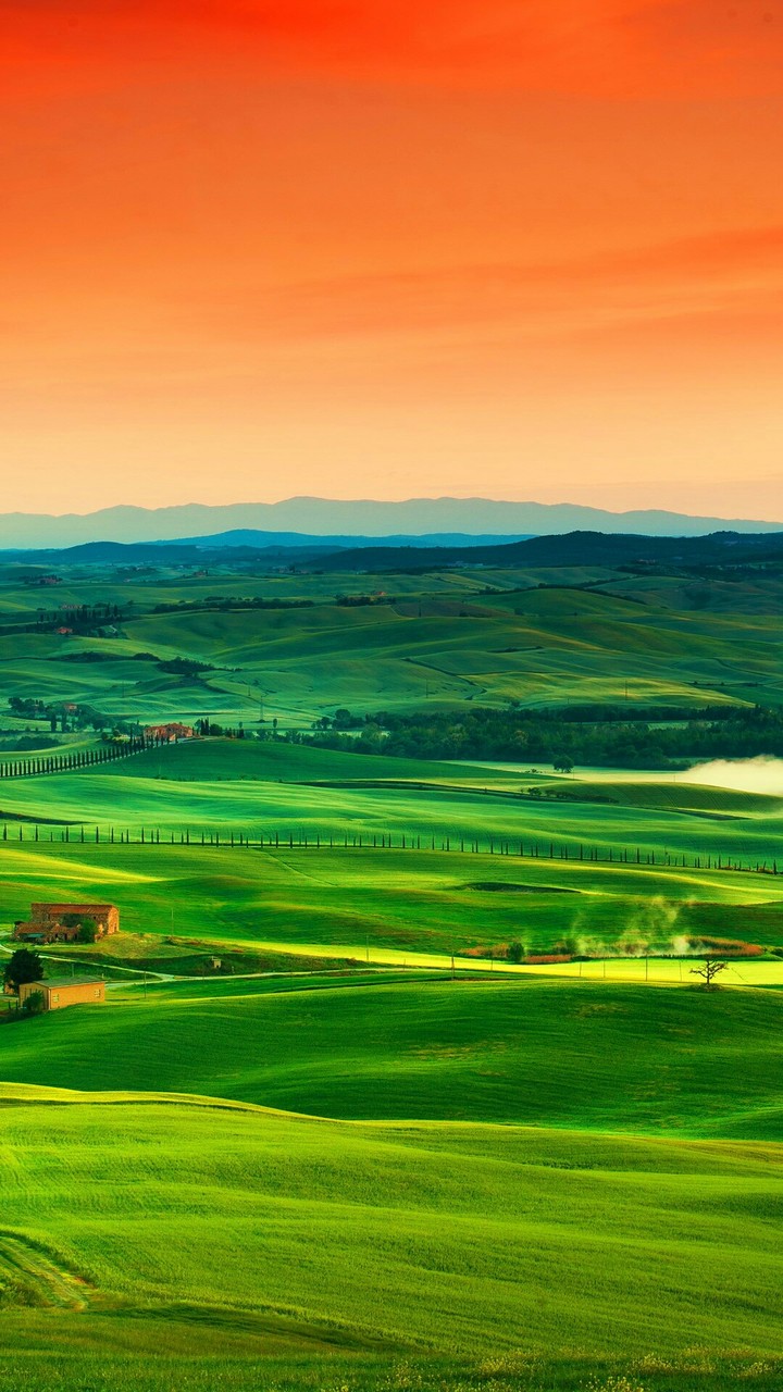 Nature