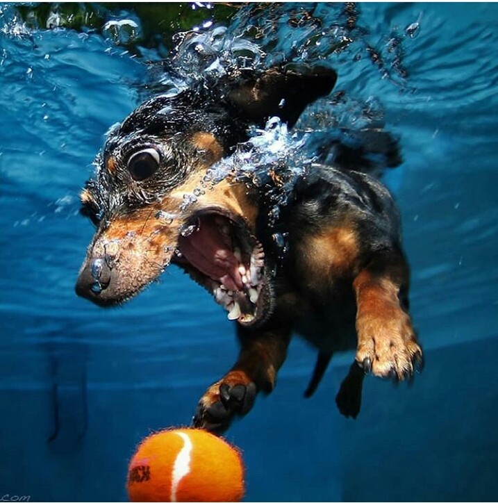 underwater
