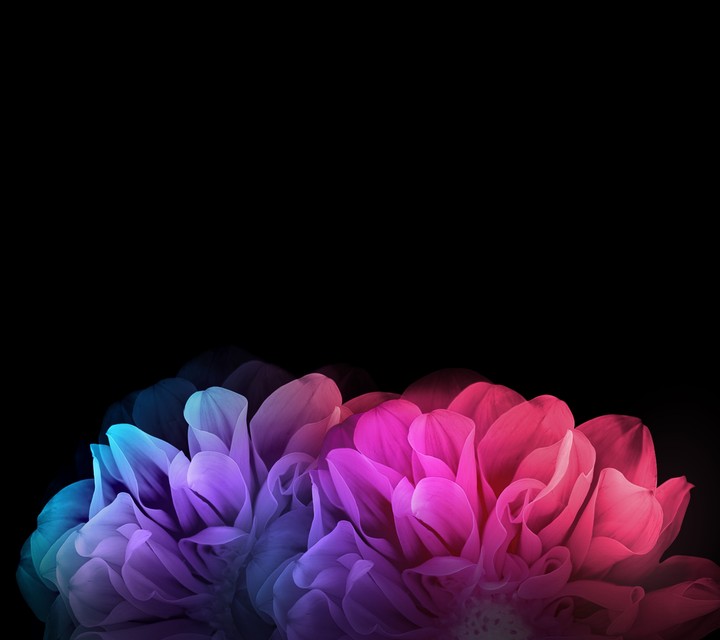 Love the Color