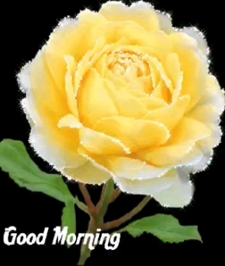 Bharat Solanki