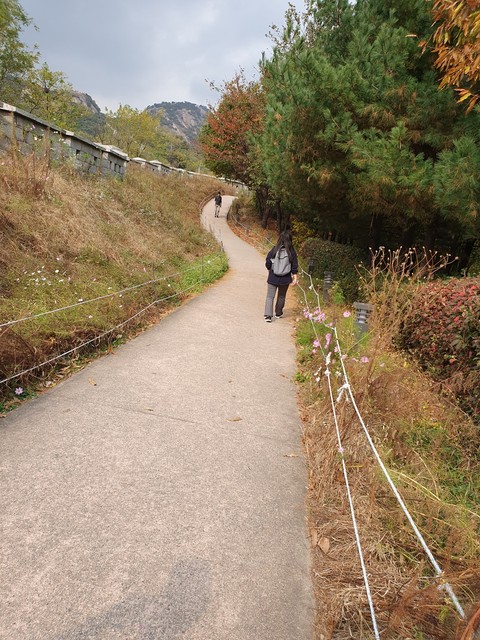 slope, landscapes वॉलपेपर