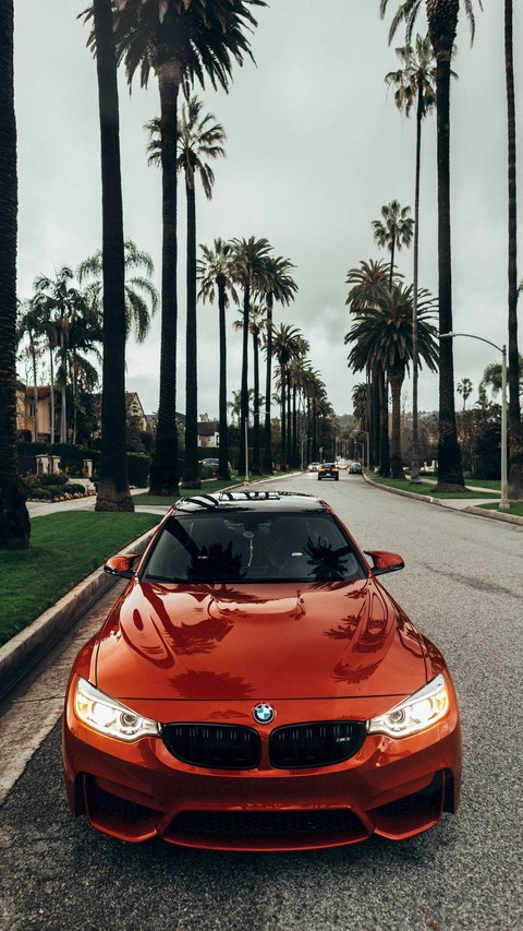 bmw, 個性豪華車桌布