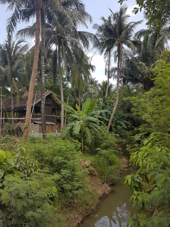 Koh Phangan