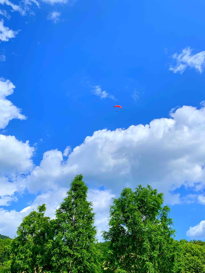 Sky rider 2