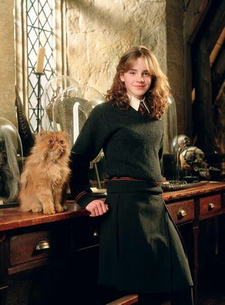 hermione granger