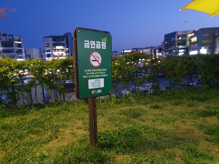 금연ت