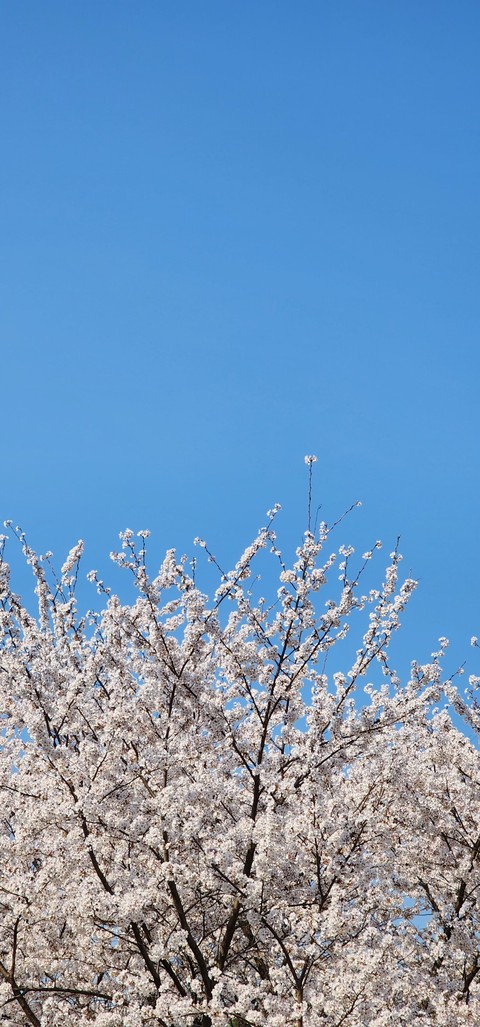 azure, sky壁紙