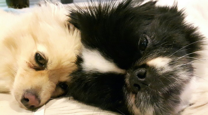 Sleepy heads
