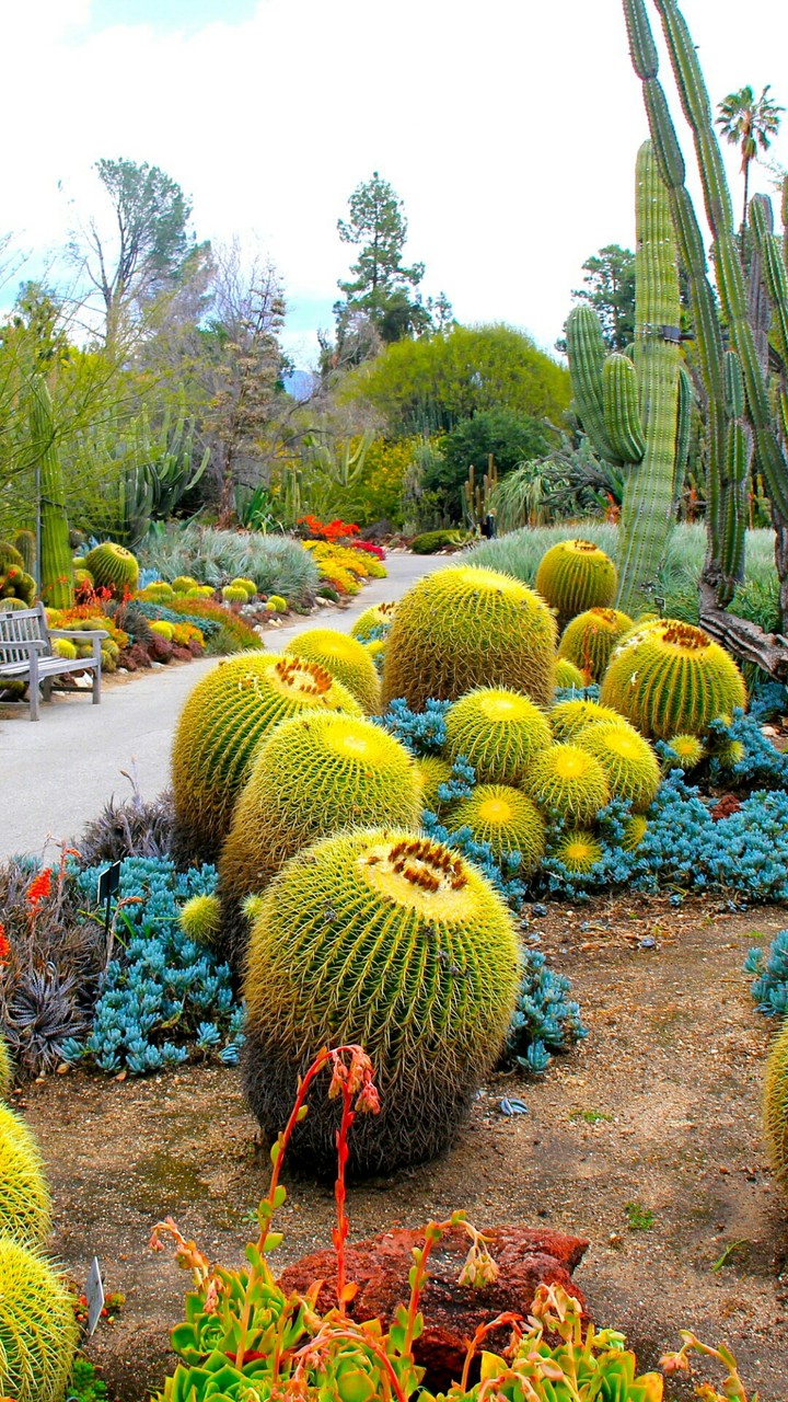 زیبا