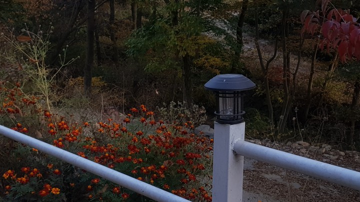 자연의 풍경