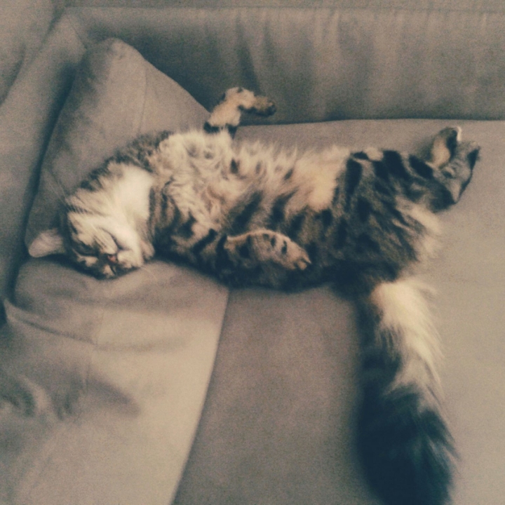 Charlie