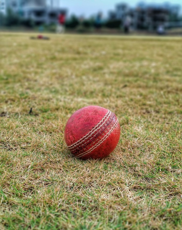 Cricket Ball