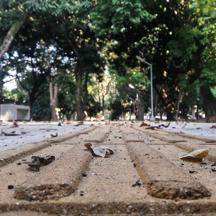 caminos...