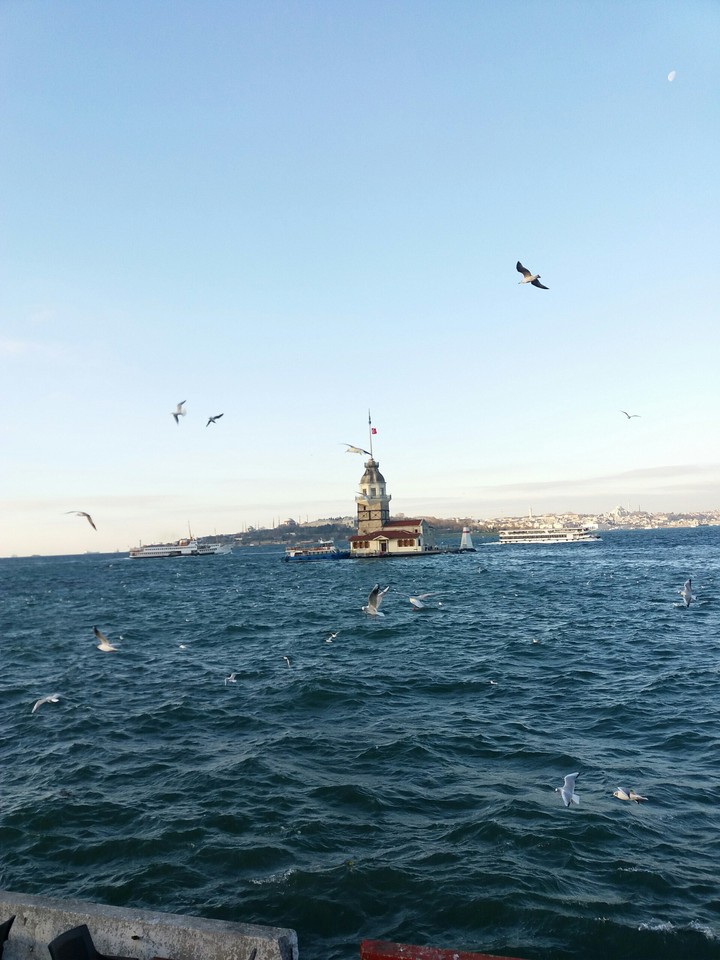 istanbul kız kulesi ve martılar