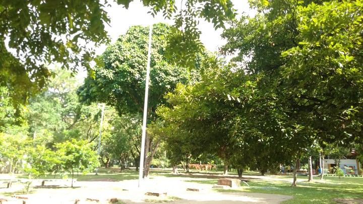 park