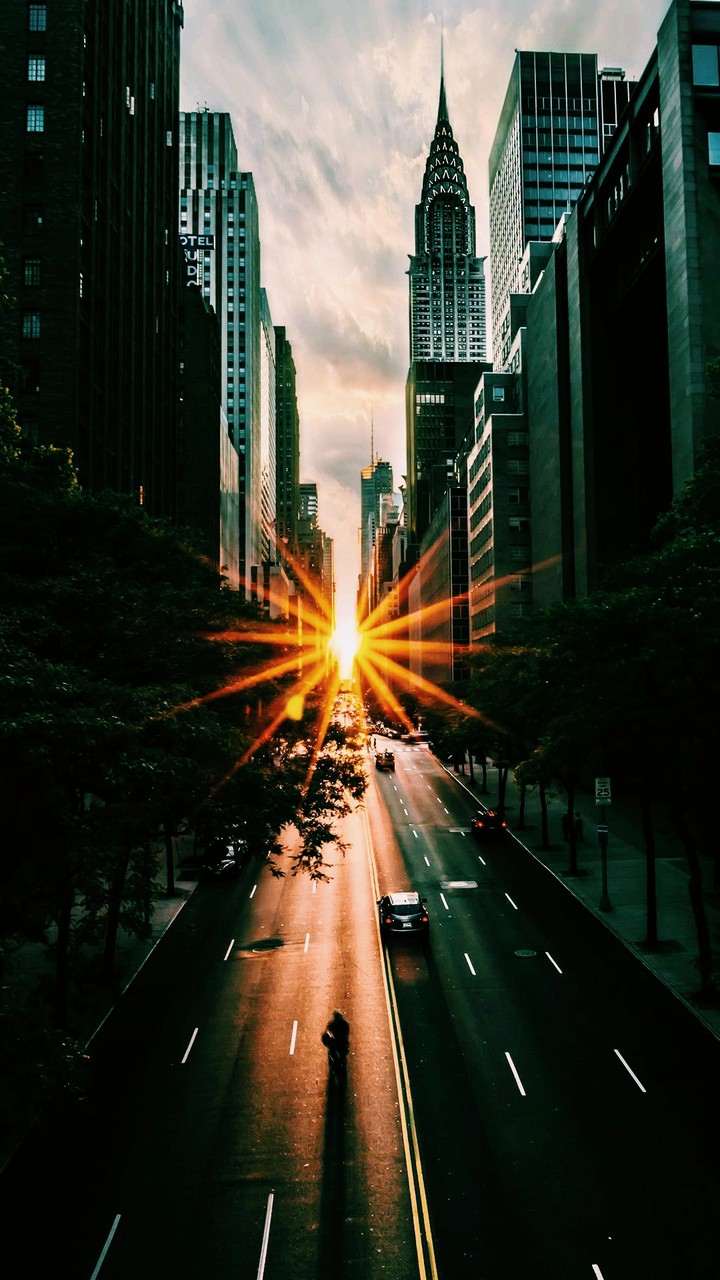sunastic nature