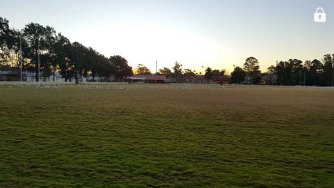Flat grass park