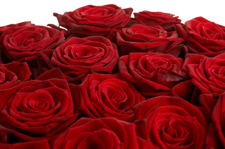 rosas