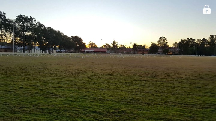 Flat grass park
