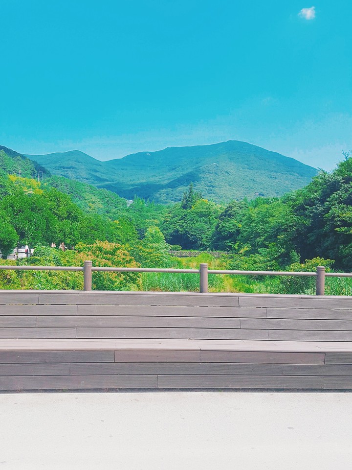 완도 수목원