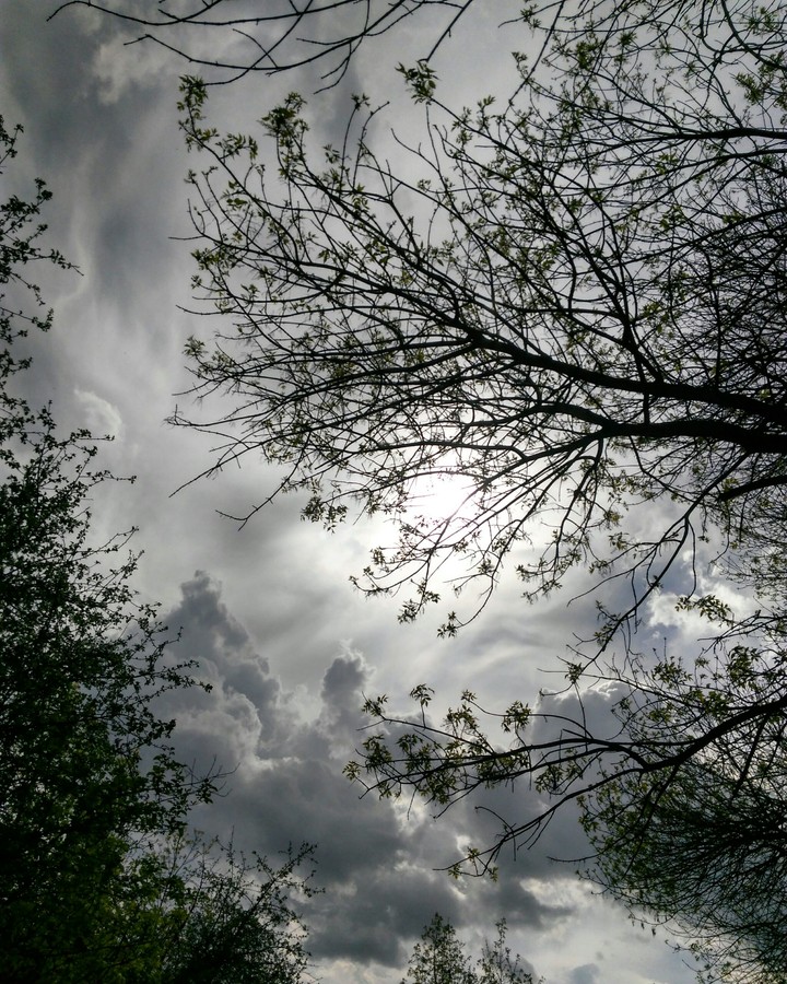 clouds