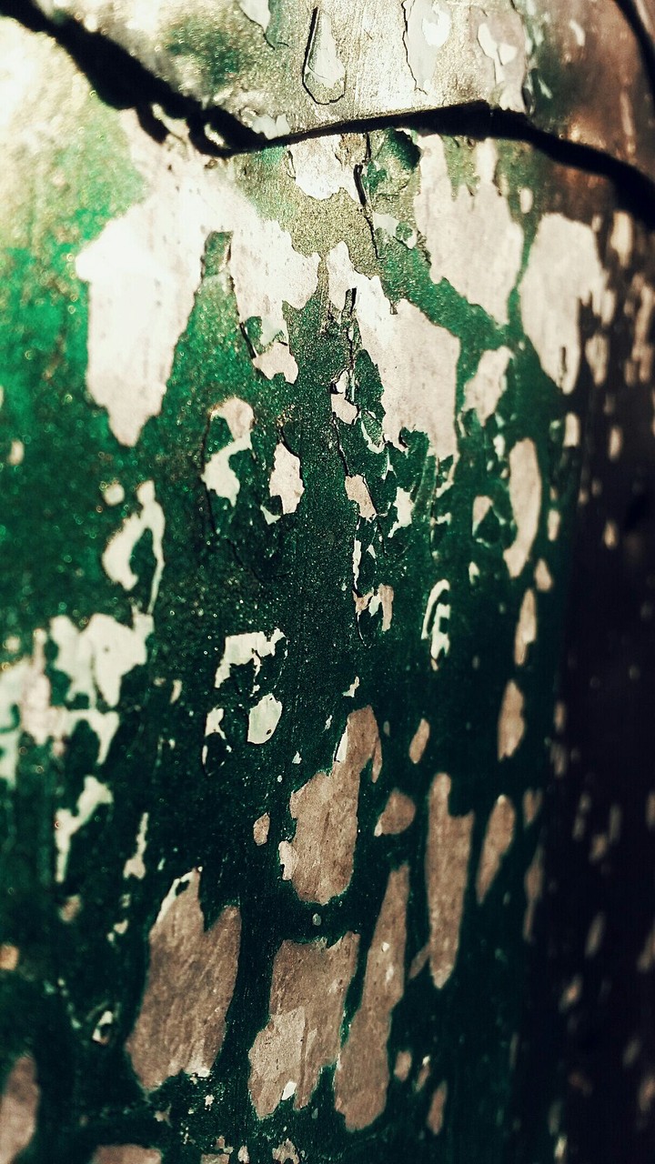 Colors