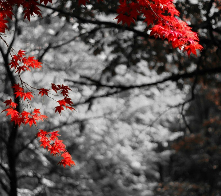 nature