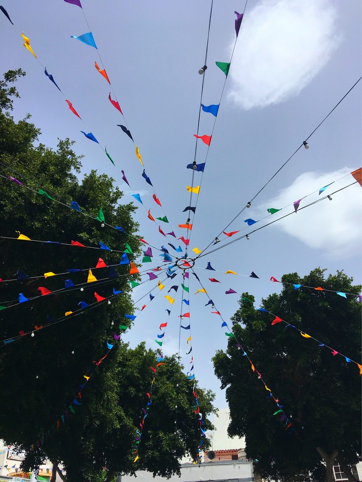 Bunting