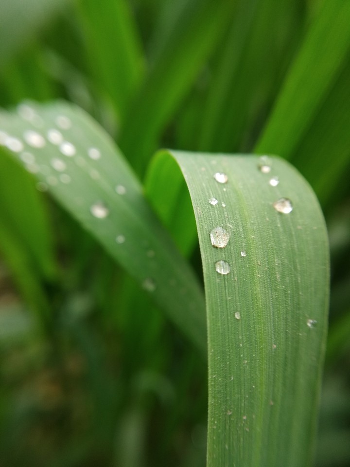 water drops on lip