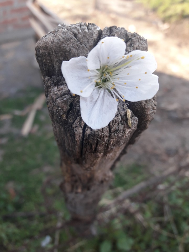 hope