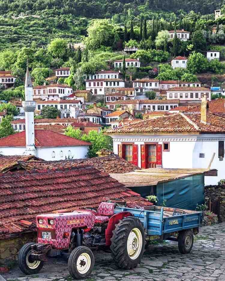 şirince