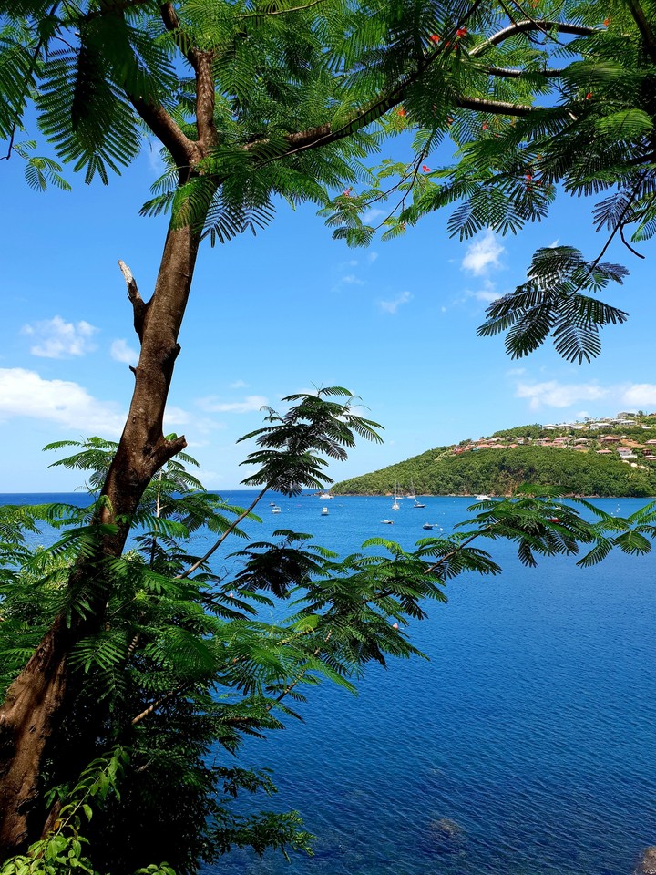 Plaisir des Îles
