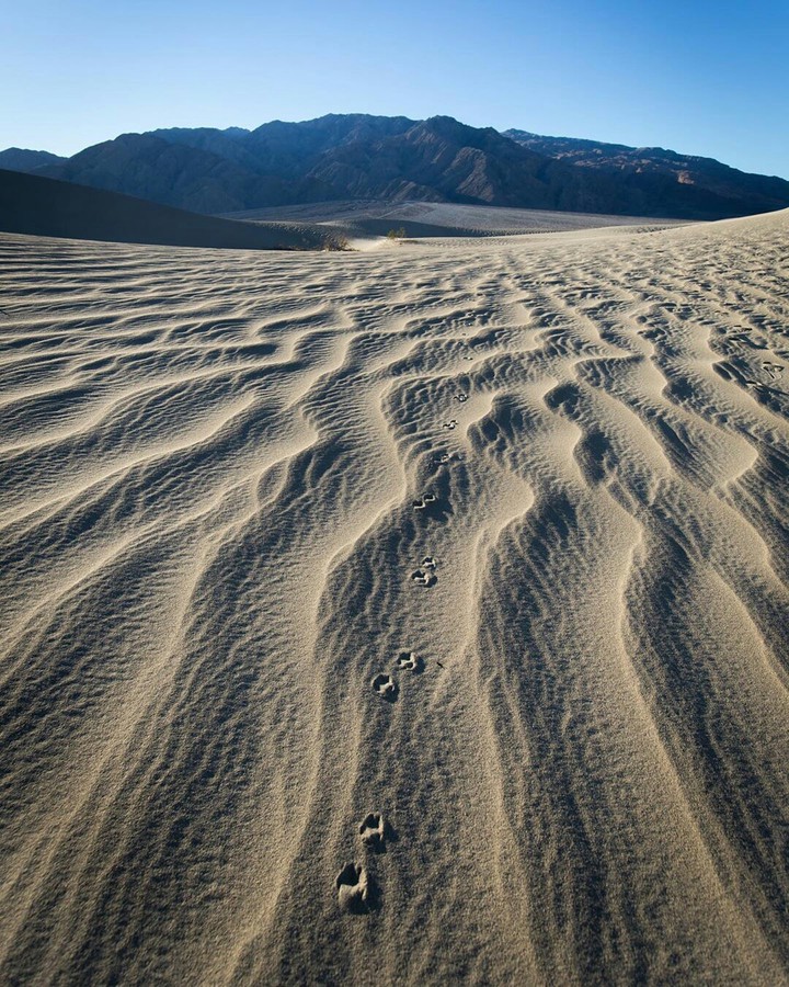 desierto