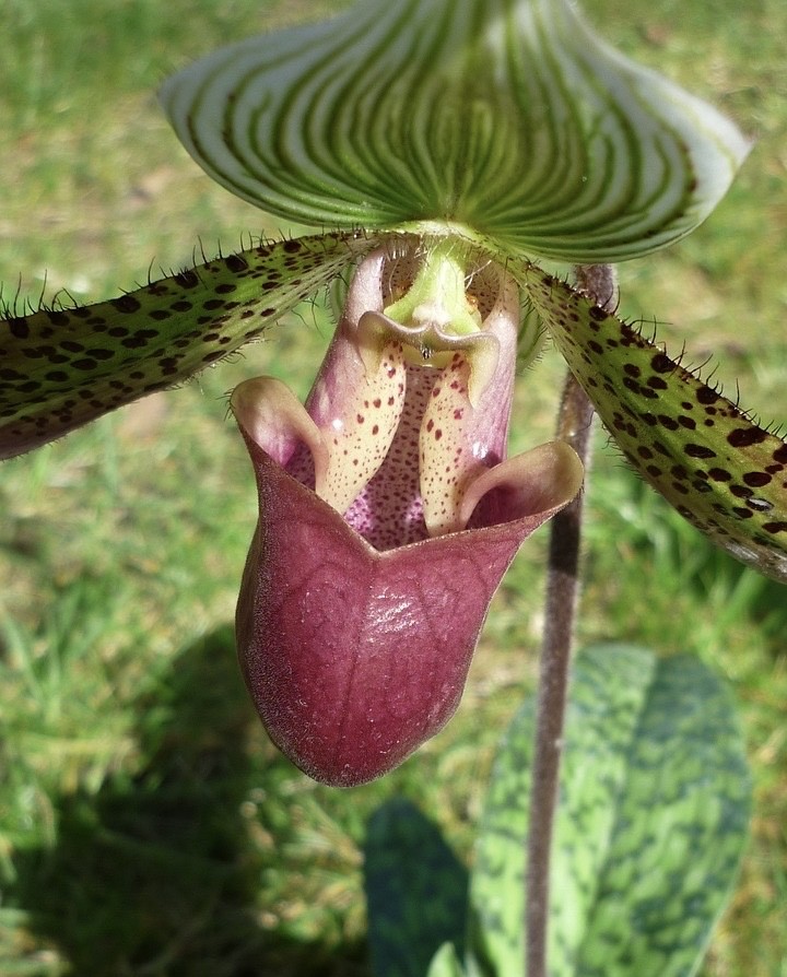 .