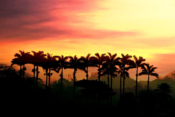 Artistic Sun